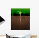 Growing plant with underground root visible Wall Mural