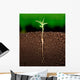 Growing plant with underground root visible Wall Mural