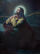 Prayer Jesus Gethsemane Garden