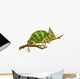 Chameleon Wall Decal