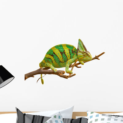 Chameleon Wall Decal shown on a wall