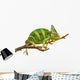 Chameleon Wall Decal