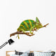 Chameleon Wall Decal