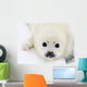 Baby harp seal pup on ice of the White Sea Wall Mural