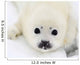 Baby harp seal pup on ice of the White Sea Wall Mural