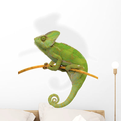 Chameleon Wall Decal shown on a wall