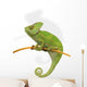 Chameleon Wall Decal