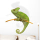 Chameleon Wall Decal