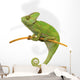 Chameleon Wall Decal