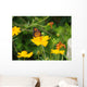 Flowers and Butterfly Wall Mural