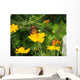 Flowers and Butterfly Wall Mural
