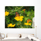 Flowers and Butterfly Wall Mural