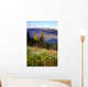 Wildflowers Cover Hillside Olympic Wall Mural