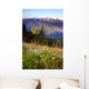 Wildflowers Cover Hillside Olympic Wall Mural