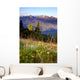 Wildflowers Cover Hillside Olympic Wall Mural