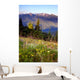 Wildflowers Cover Hillside Olympic Wall Mural