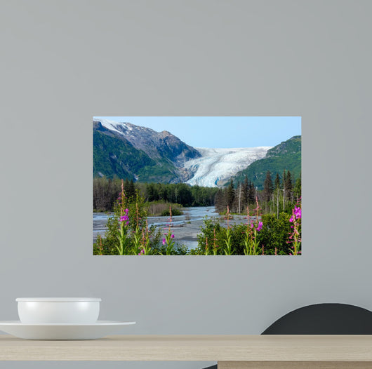Exit Glacier