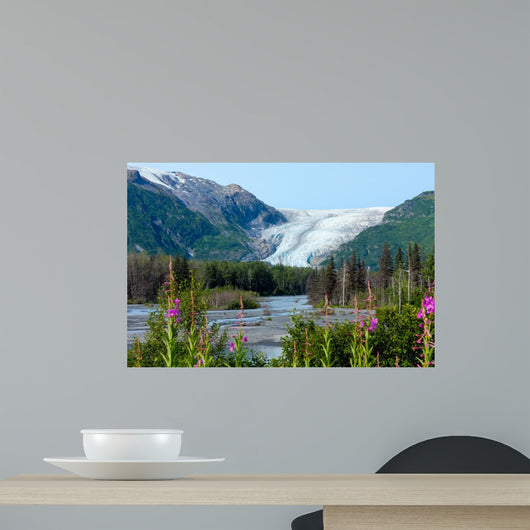 Exit Glacier