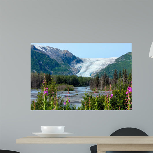Exit Glacier