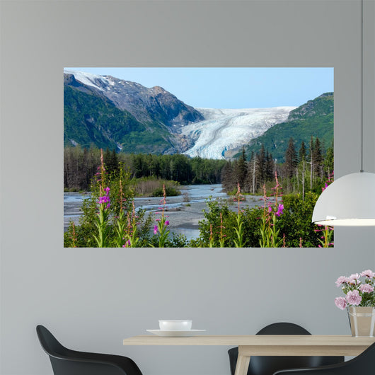 Exit Glacier