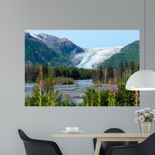 Exit Glacier
