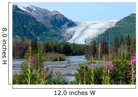 Exit Glacier