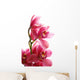 Dark Pink Orchid