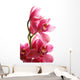Dark Pink Orchid