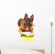 Funny Cute Dog with