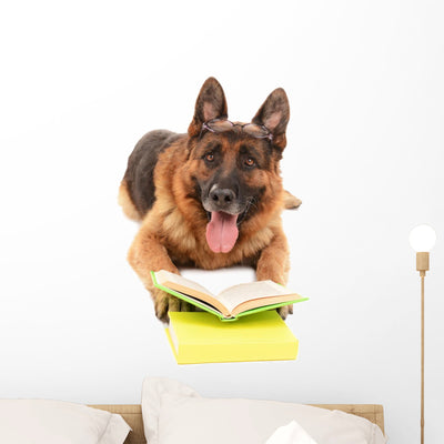 Funny Cute Dog with shown on a wall