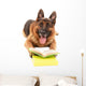 Funny Cute Dog with