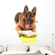 Funny Cute Dog with