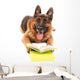 Funny Cute Dog with