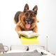 Funny Cute Dog with