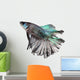 Siamese Fighting Fish Wall Decal