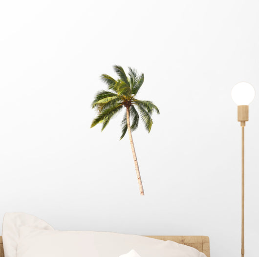 Coconut tree Wall Decal