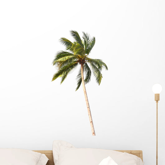 Coconut tree Wall Decal
