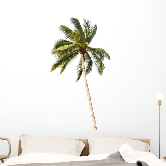 Coconut tree Wall Decal