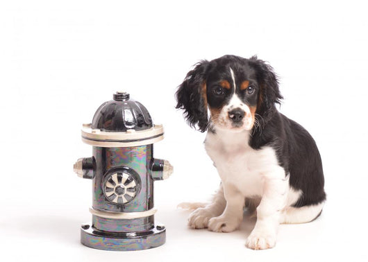 Dog by Fire Hydrant Wall Decal