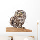 Little Owl Wall Decal