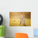 Small boy kissing belly of his pregnant mother outdoors Wall Mural
