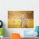 Small boy kissing belly of his pregnant mother outdoors Wall Mural