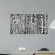 Trunks Birch Trees Black