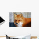 Red Fox Wall Mural
