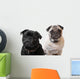 Pugs Wall Decal