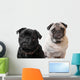Pugs Wall Decal