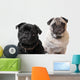 Pugs Wall Decal