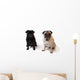 Pugs Wall Decal