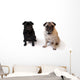Pugs Wall Decal