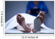 Identification of dead body Wall Mural